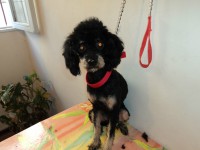 /album/fotos/de-todo-092-jpg/